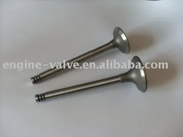 engine valve for LADA 2101