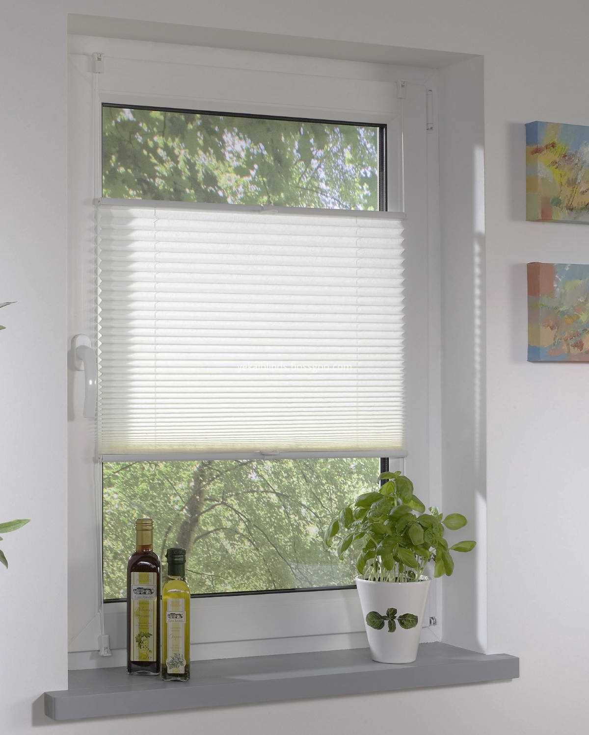 white  Cordless Honeycomb Pleated Shades