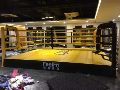 Professional Boxing Training Gym with Boxing Ring (With or Without Table)