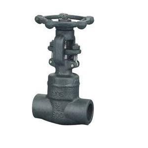 Βιδωτή τελειώνει Gate Valve