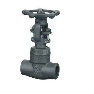 A105 forged steel gate valve