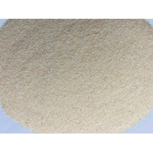 Garlic Granules 40-80 mesh