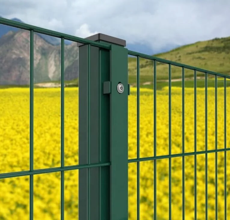 Recinzione a doppio filo in pvc saldato saldato da giardino