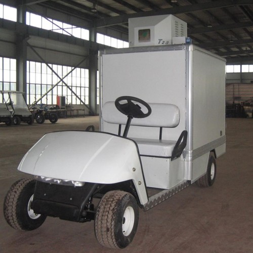 2 person gas powered golf utility cart