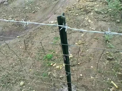 Farm Barbed Wire Export Barbed Wire