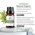 Wholesale Organic 100 Pure Bulk Price Verbena Oil