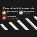 Thailand Stock Led Grow Light For Indoor Plant