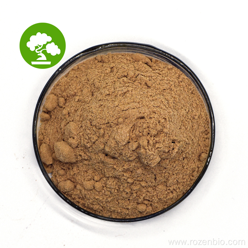 Factory Supply Ginkgo Biloba Leaf Extract Powder