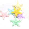 Πολύχρωμο Resin Seastar Μινιατούρα Cabochon Fairy Garden Σπίτια Σπίτια Διακόσμηση Mini Craft Micro Εξωραϊσμός Διακόσμηση DIY Αξεσουάρ