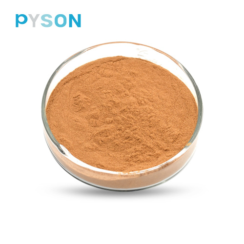 Reishi Mushroom Extract Natural health care products