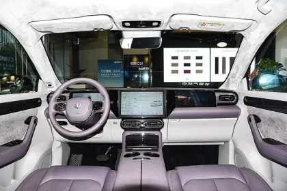 Brand New Fast Speed Leap Motor C11 2024 Luxury SUV with 510km Range
