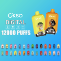OKSO Digital 12000 Puffs Disposables Vape Box Netherlands