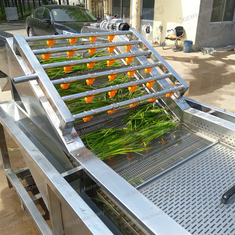 Watermelon Washing Machine Leek Washing Machine China Manufacturers ...