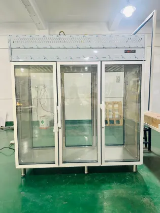 Double sided glass door refrigerator