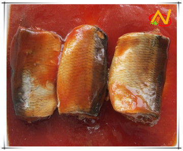 Wholesale Canned Sardines in Tomato Sauce with 425g