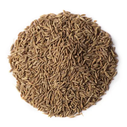 Wholesale Supplier of Premium Quality Dried Cumin Seeds and Whole Dry Cumin