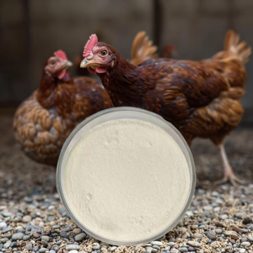 Aditif Haiwan dan Premix Garlicin Allicin 25% Serbuk