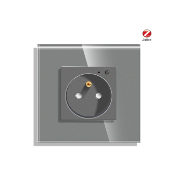 Bingpelec ZigBee EU 16A Smart Wall Socket with Alexa and Google Voice Control