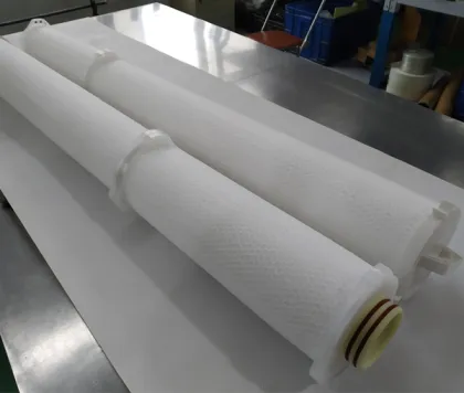 Pentair Aqualine large flow water filter ALPF-60006