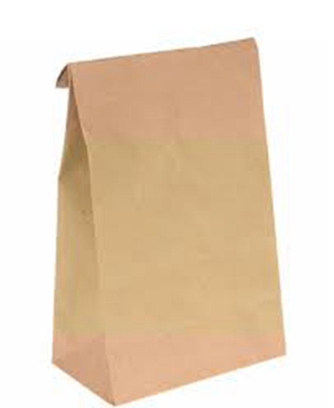 kraft take away bags 