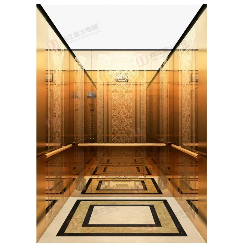 Small Machine Room Lift and Vertical Commercial Residential Passenger Elevator