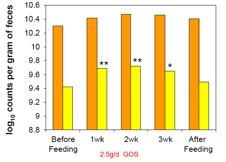 GOS Prebiotic for Kids and Olders