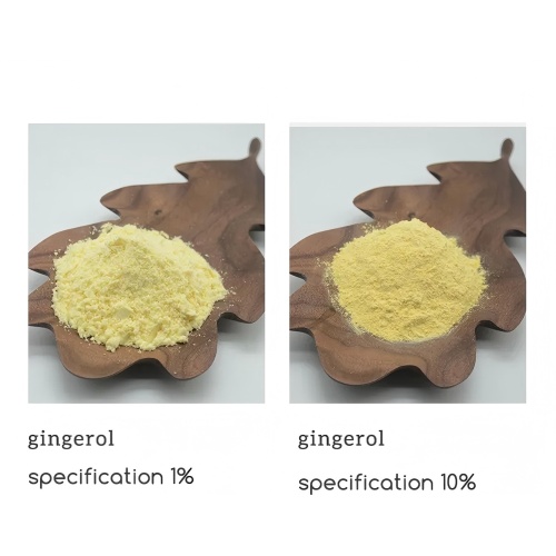 Natural Gingerol 1%-20% Ginger root extract Powder