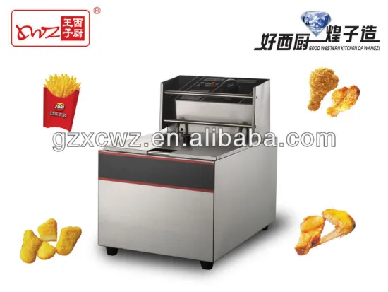 electric deep fryer