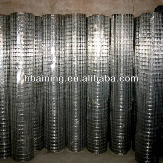 electro galvanized welded wire mesh