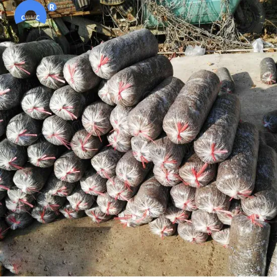 mushroom growing bag filling machine