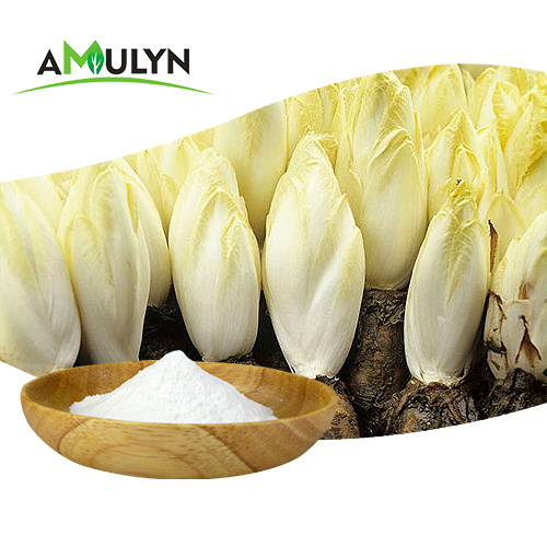 chicory root extract powder 90% inulin