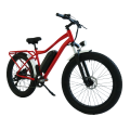 internal fully madmod electric bicycle