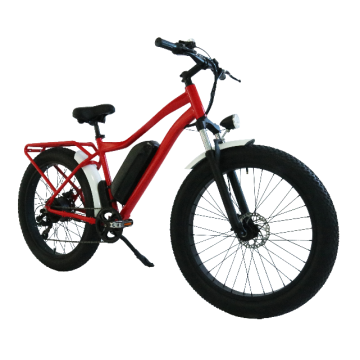 extender gravel carbon fiber electric bicycle