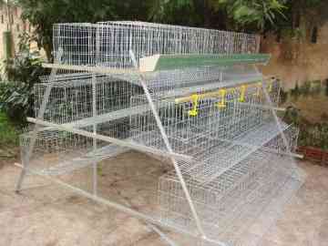 Wholesale chicken egg layer cages