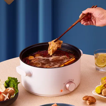 Electric Hot Pot for Shabu Shabu and Home Cooking