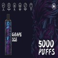 Barre elfe 5000 Vape jetable d'énergie