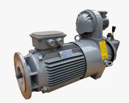 Three Phase Tower Crane Slewing Induction Motor