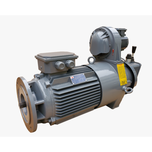 টাওয়ার ক্রেন Slewing ব্রেক মোটর