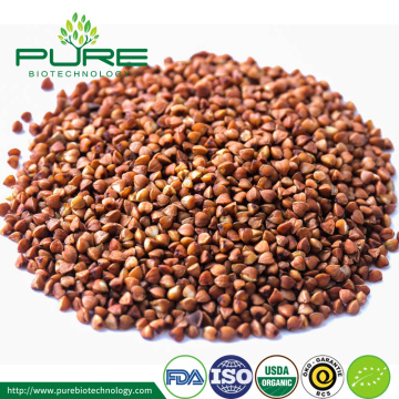 Wholesale Organic roasted buckwheat