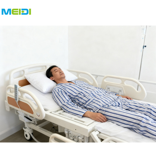 5 Function Electric Abs Head Panel and Metal Hospital Bed with Toilet