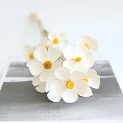 Wholesale Colorful Dried Violet Flowers for Wedding Decor and Gifts