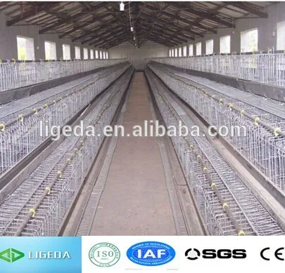 chicken coop iron wire fence