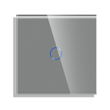 Bingoelec Smart Wall Touch Light Switch, 1 Gang 1000W, Tuya Compatible, Works with Google Alexa App and Voice Control