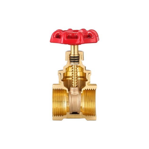 Brass gate valve
