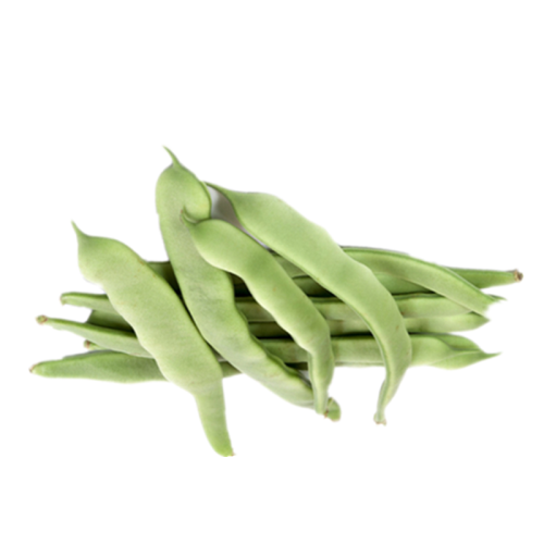 Herbal Extract Concanavax Extract