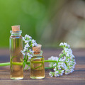 wholesale premium valerian essential oil for medical use