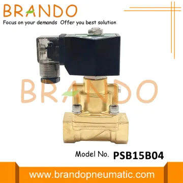 1/2'' 25 bar Steam Solenoid Valve 24V 220V