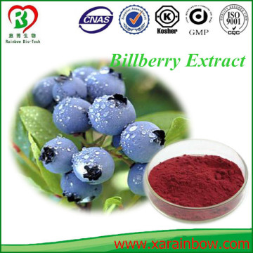 GMP factory supply hot sale pure Bilberry fruit extract
