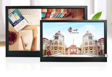 11.6 inch IPS monitor