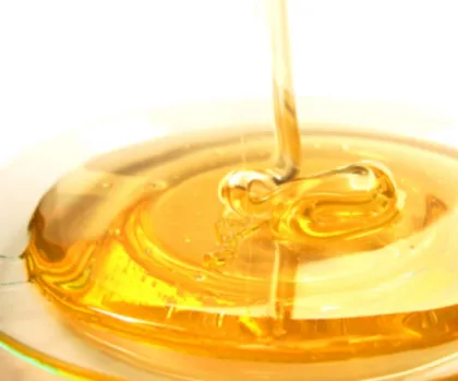 KOSHER GMP certified food grade Isomaltulose